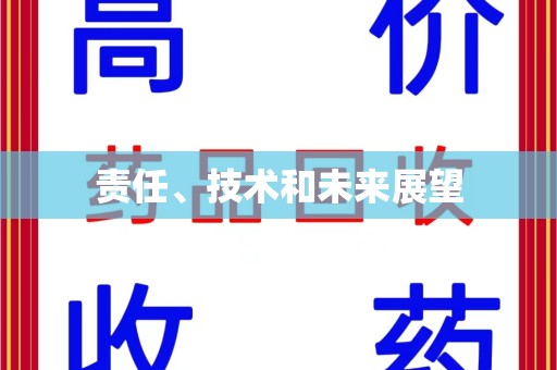 威海责任、技术和未来展望