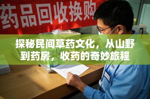 威海探秘民间草药文化，从山野到药房，收药的奇妙旅程