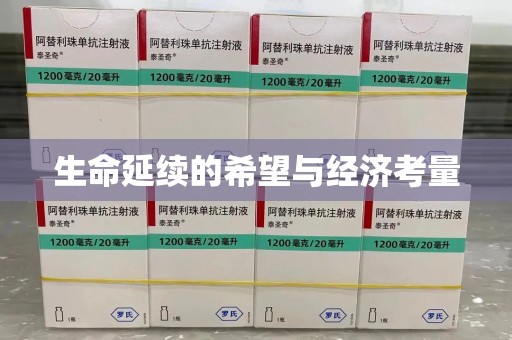 威海生命延续的希望与经济考量